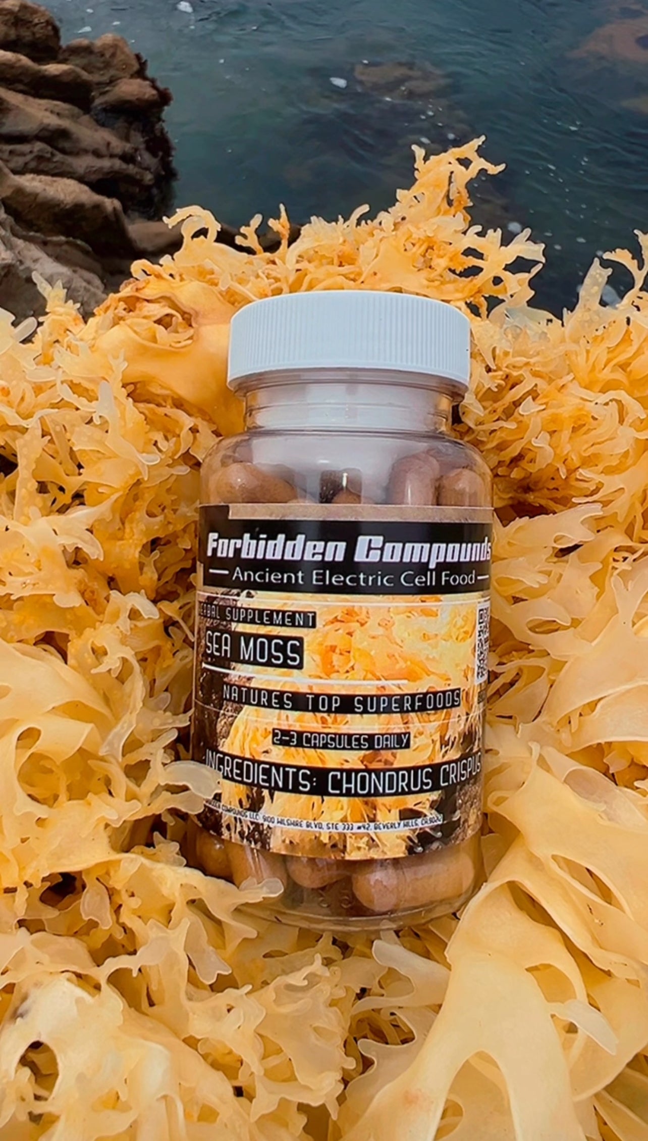 Sea Moss (Chondrus Crispus)