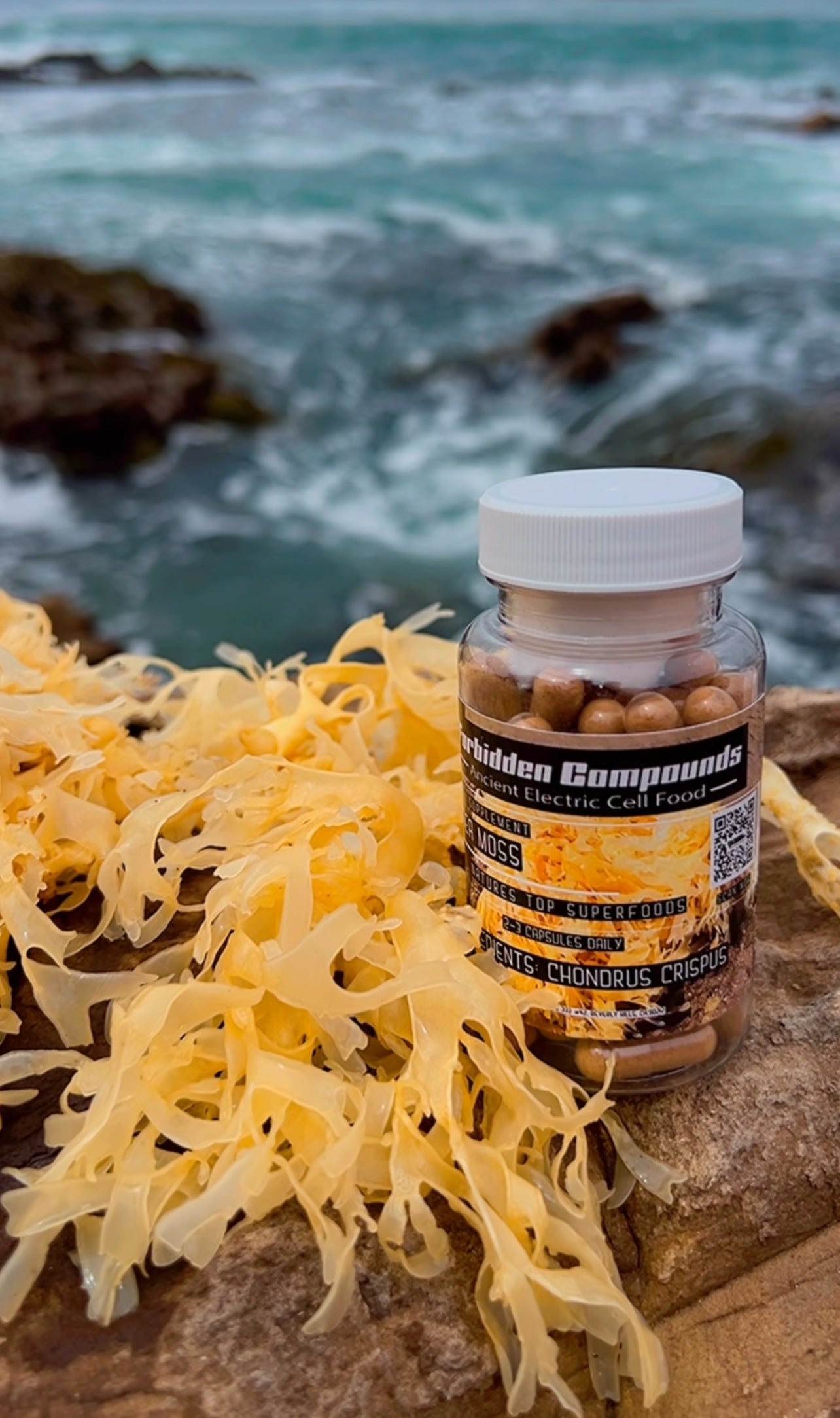 Sea Moss (Chondrus Crispus)