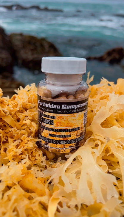 Sea Moss (Chondrus Crispus)