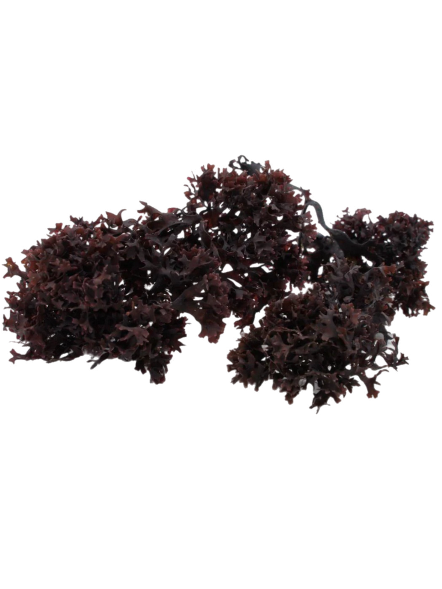 102 Minerals